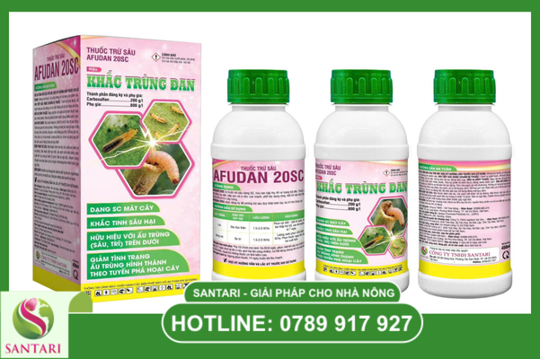 Chiến thuật cộng hưởng: "Gọng kìm" tiêu diệt sâu kháng thuốc