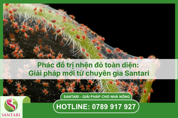 Phác đồ trị nhện đỏ toàn diện: Giải pháp mới từ chuyên gia Santari