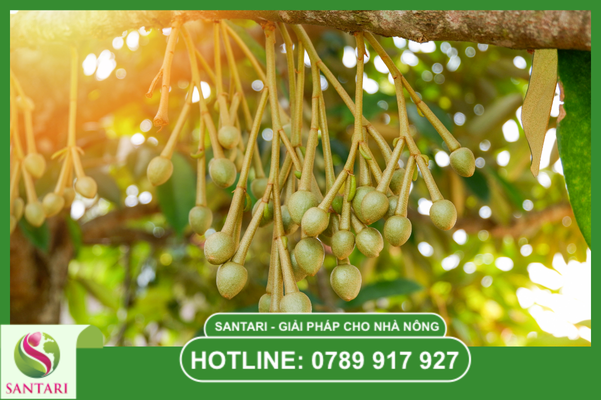 Câu hỏi thường gặp