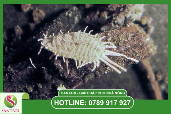 Câu hỏi thường gặp 