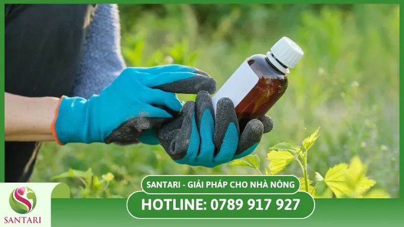 Chọn sản phẩm trừ nấm uy tín