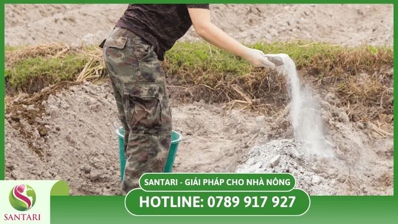 Phòng ngừa sai cách bằng bột vôi