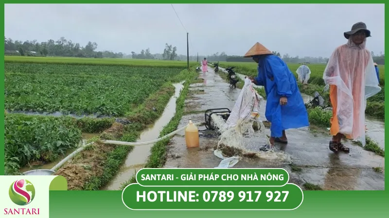 Khôi phục hệ thống thoát nước