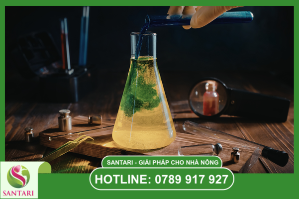 Công thức và Thành phần Lõi của SAHA SHIELD