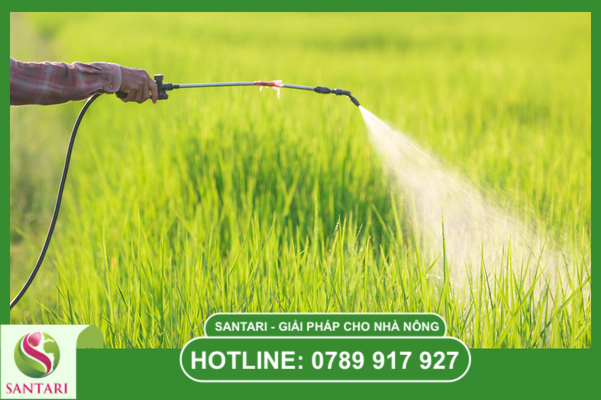 Kỹ thuật phun xịt để đạt độ phủ tối đa