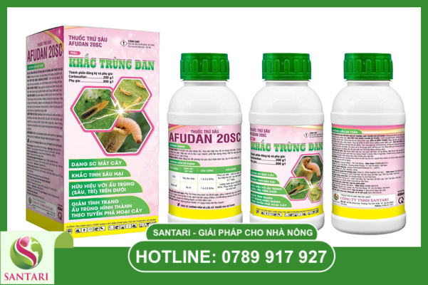 Công dụng đặc trị trong mùa hoa rộ