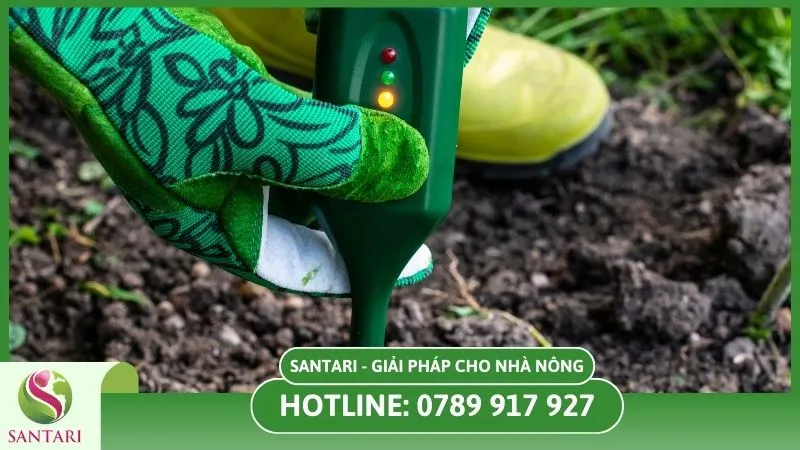 Điều chỉnh độ pH của đất