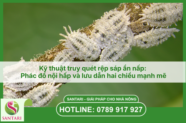 Kỹ thuật truy quét rệp sáp ẩn nấp: Phác đồ nội hấp và lưu dẫn hai chiều mạnh mẽ