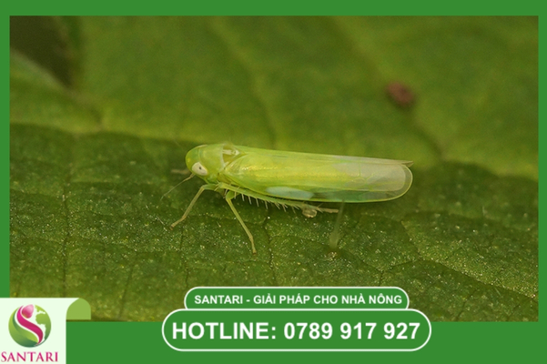 Số liệu thực nghiệm và dữ liệu thực tế