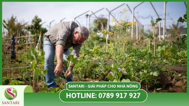Kiểm tra vườn cây