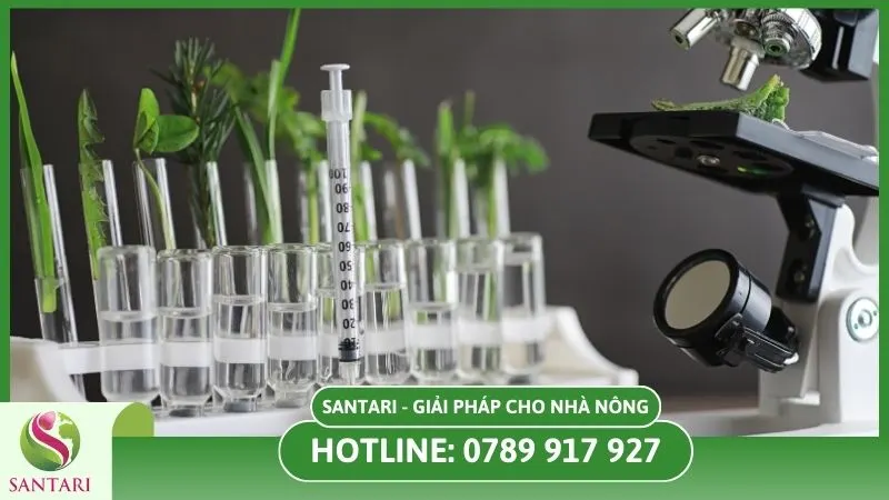 Thử nghiệm trước trên lá