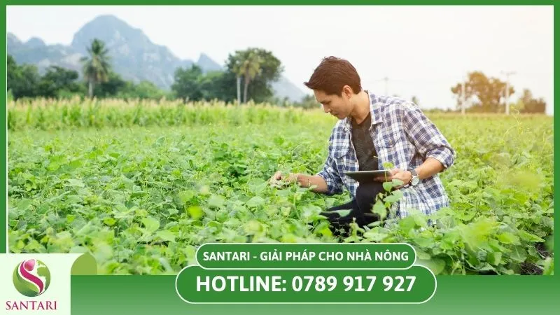 Theo dõi sinh trưởng của cây