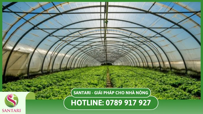 Che phủ và tạo giàn để trồng rau