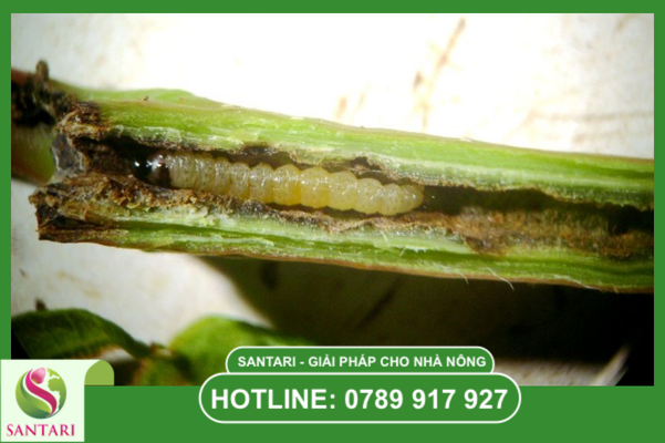 Câu hỏi thường gặp