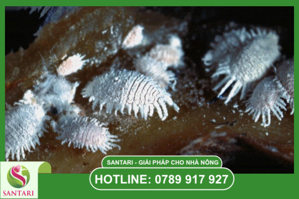 Câu hỏi thường gặp