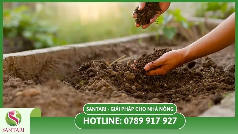 Xới đất cải thiện cấu trúc đất