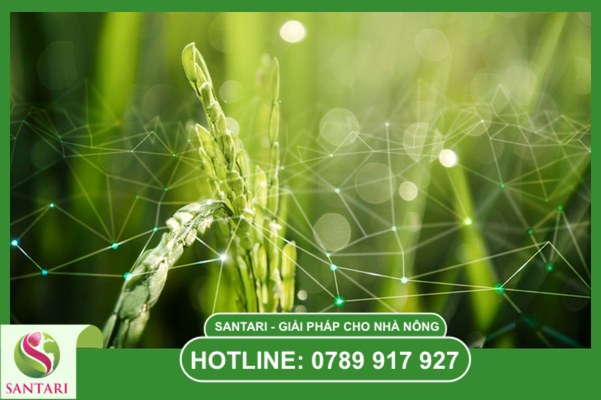 Câu hỏi thường gặp