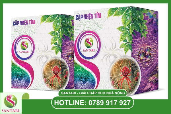 Quy trình vận hành chuẩn (SOP) để đạt hiệu quả tối đa