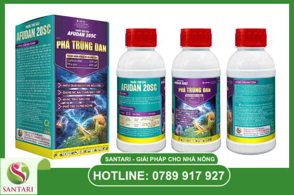 Cơ chế "Nội công ngoại kích" tiêu diệt rầy xanh triệt để