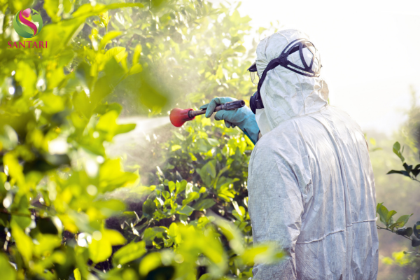 Lưu ý quan trọng khi sử dụng