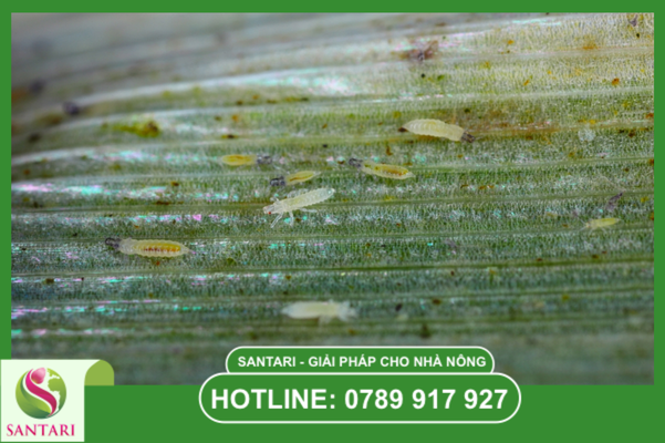 Câu hỏi thường gặp