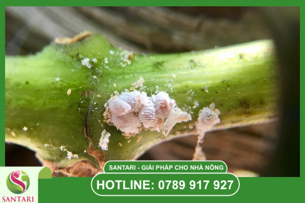 Câu hỏi thường gặp