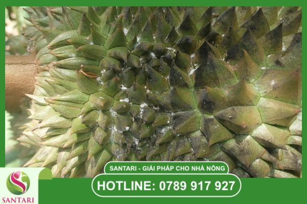 Câu hỏi thường gặp