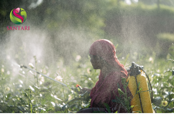 Lưu ý khi sử dụng