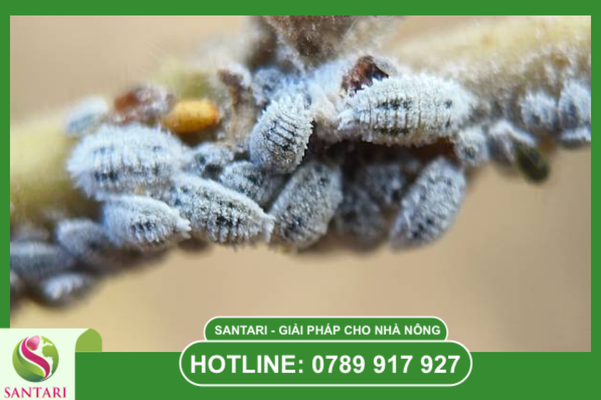 Câu hỏi thường gặp