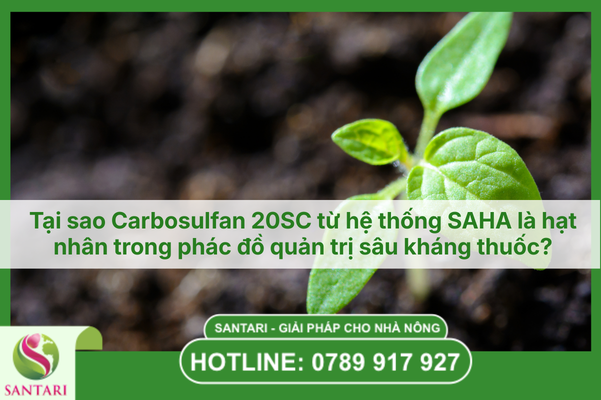 Tại sao Carbosulfan 20SC từ hệ thống SAHA là hạt nhân trong phác đồ quản trị sâu kháng thuốc?