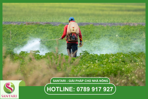 Quy trình sử dụng chuẩn để đạt hiệu quả cao nhất