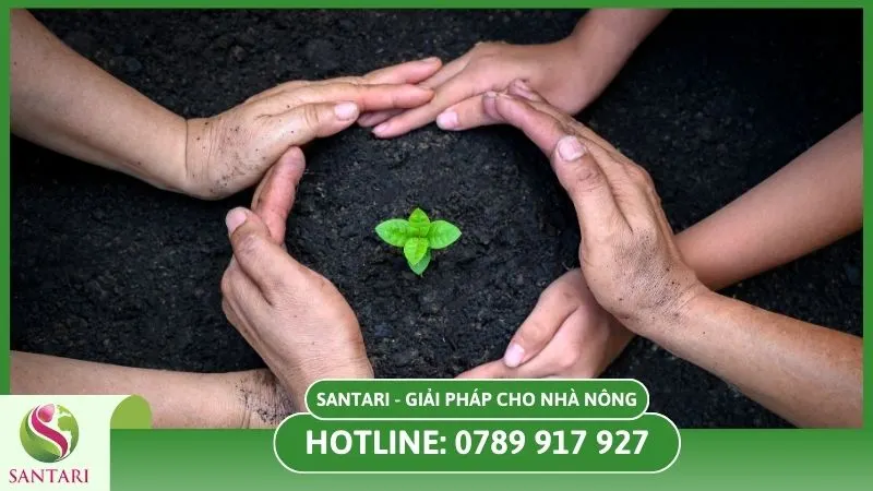 Lựa chọn thuốc không gây hại cho cây trồng