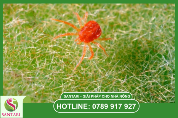 Câu hỏi thường gặp 