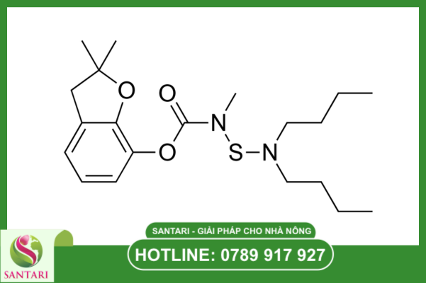 Carbosulfan 20SC: "Hạt nhân" hóa giải tính kháng thuốc
