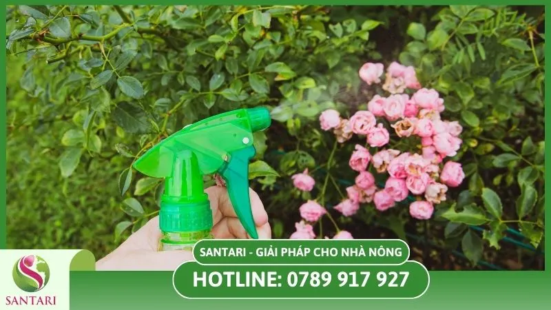 Xà phòng diệt sâu