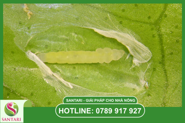 Câu hỏi thường gặ