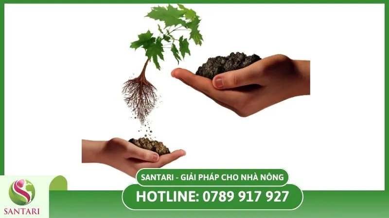 Cải thiện đất