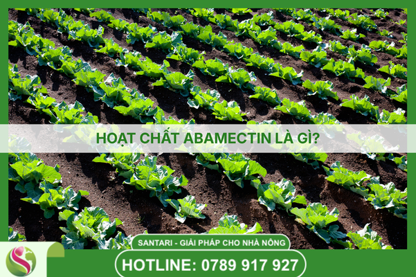 HOẠT CHẤT ABAMECTIN LÀ GÌ?