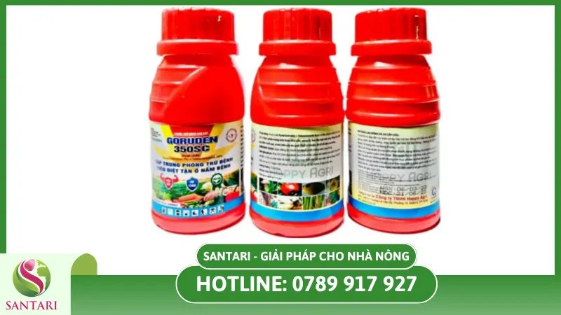 Sử dụng thuốc hóa học để tiêu diệt ngay bệnh thối thân lúa