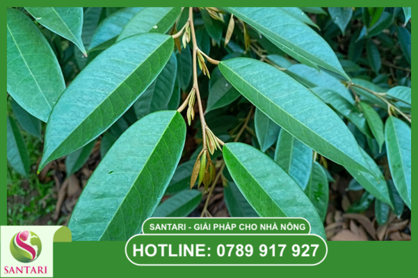 Câu hỏi thường gặp