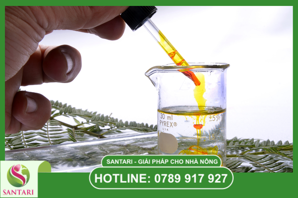 Công thức R&D chuyên biệt cho mục tiêu phòng ngự