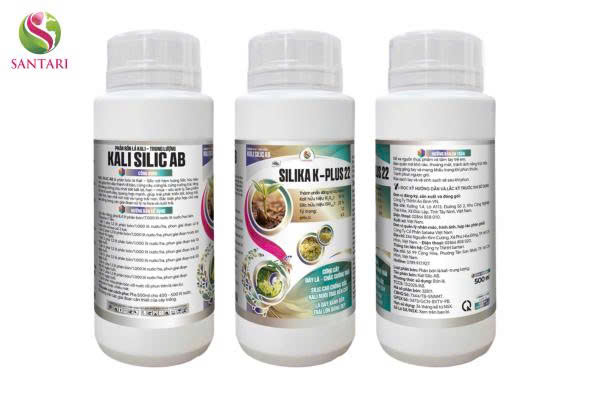 Phân bón Lá KALI SILIC AB Hiệu SILIKA K-PLUS 22