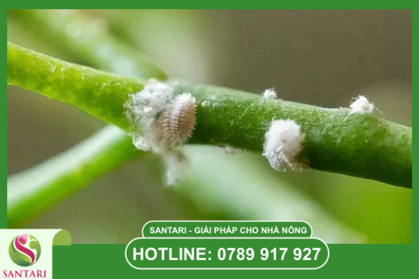 Câu hỏi thường gặp