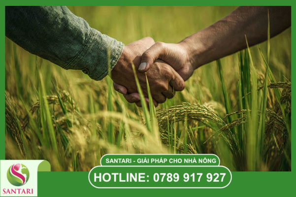 Vì sao nên hợp tác cùng Santari