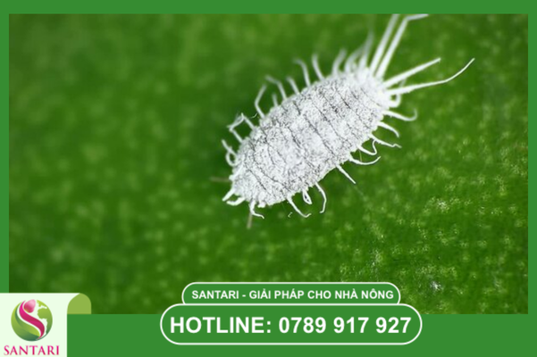 Tối ưu hóa chi phí đầu tư và công lao động