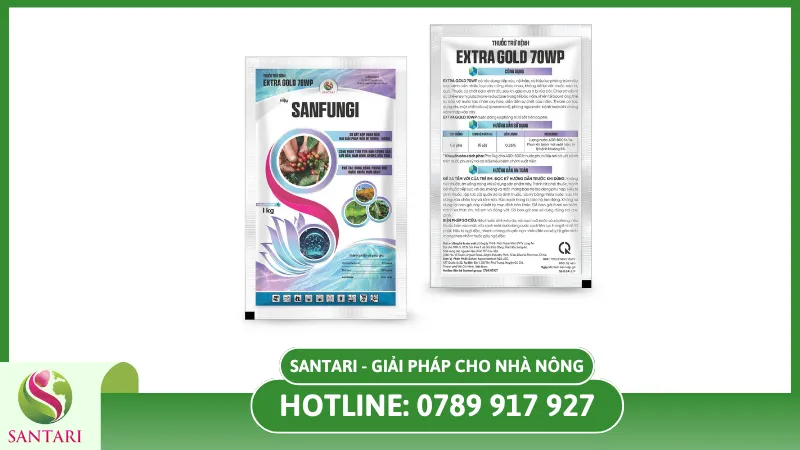  THUỐC TRỪ BỆNH EXTRA GOLD 70WP HIỆU SANFUNGI