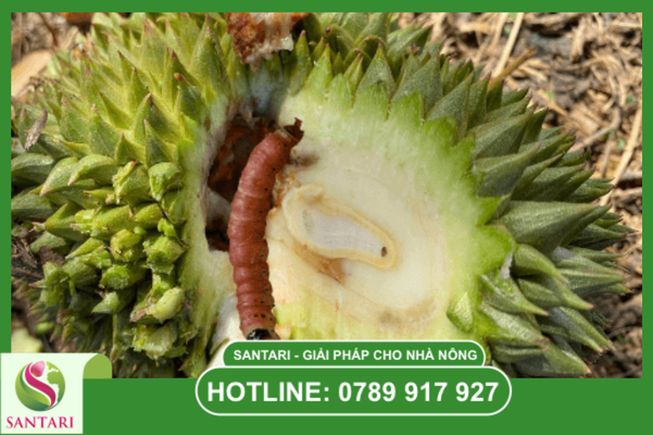 Câu hỏi thường gặp