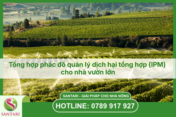 Nền tảng cốt lõi của chiến lược IPM trong canh tác hiện đại