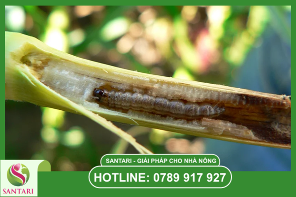 Câu hỏi thường gặp