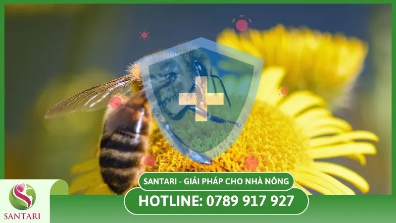 Bảo vệ sinh vật có lợi